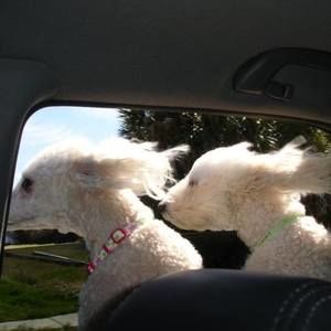 Meet your Posher, Kathy